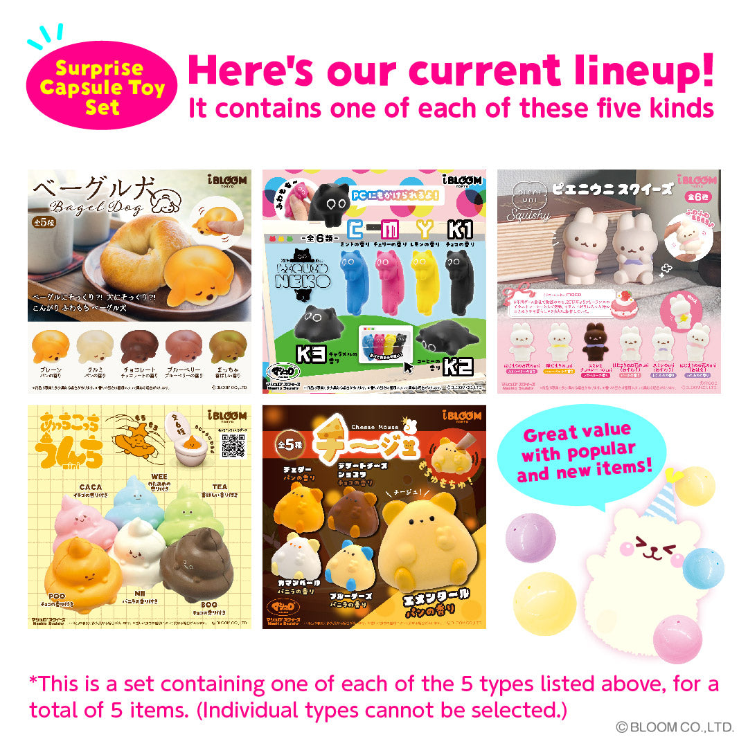 Surprise Capsule Toy Set