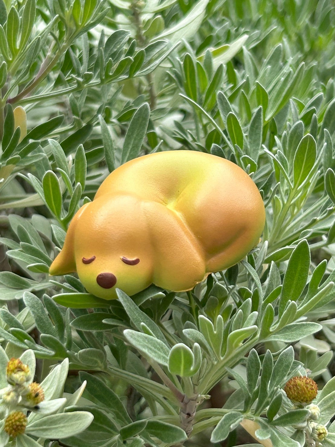 ★Capsule Toy Complete Set★ Bagel Dog