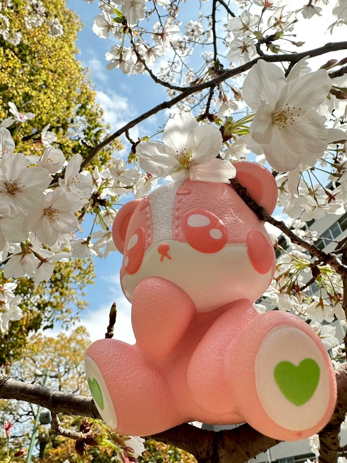 HARAJUKU BEAR