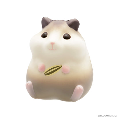 Chubby Fluffy Hamster