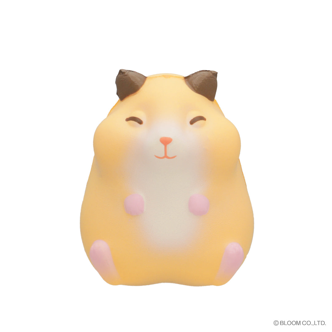 Chubby Fluffy Hamster