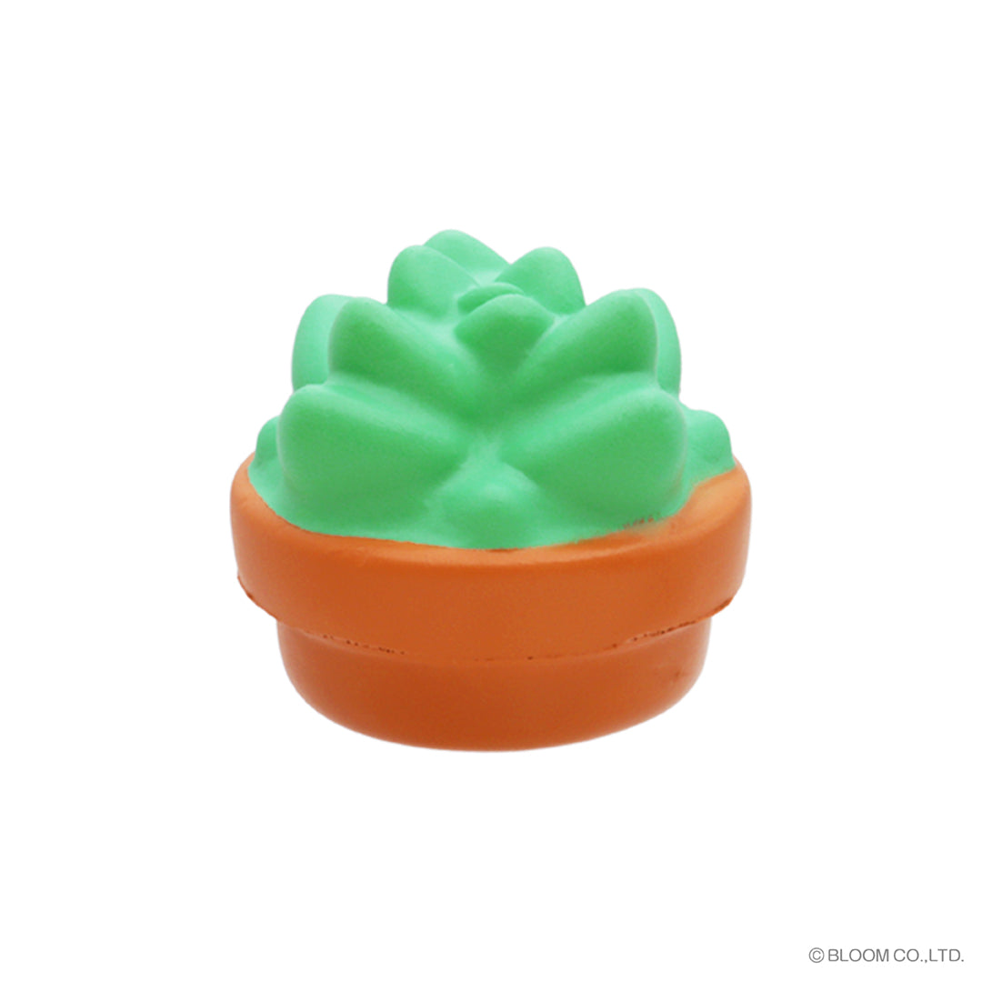 squishable succulent ☆Capsule Toys☆ Fluffy succulents – i-BLOOM SQUISHY OFFICIAL SHOP