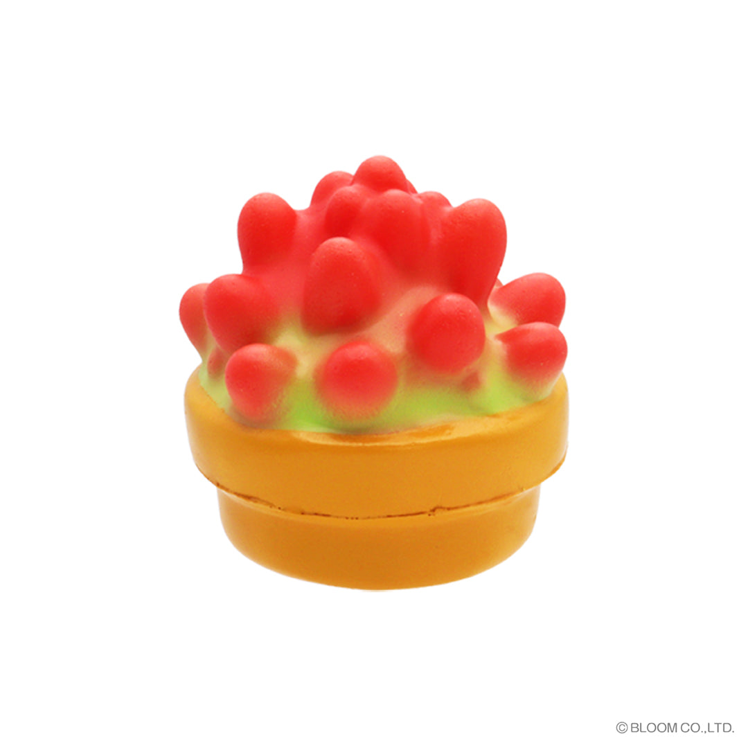 succulent soft and squishy ☆Capsule Toys☆ Fluffy succulents – i-BLOOM SQUISHY OFFICIAL SHOP