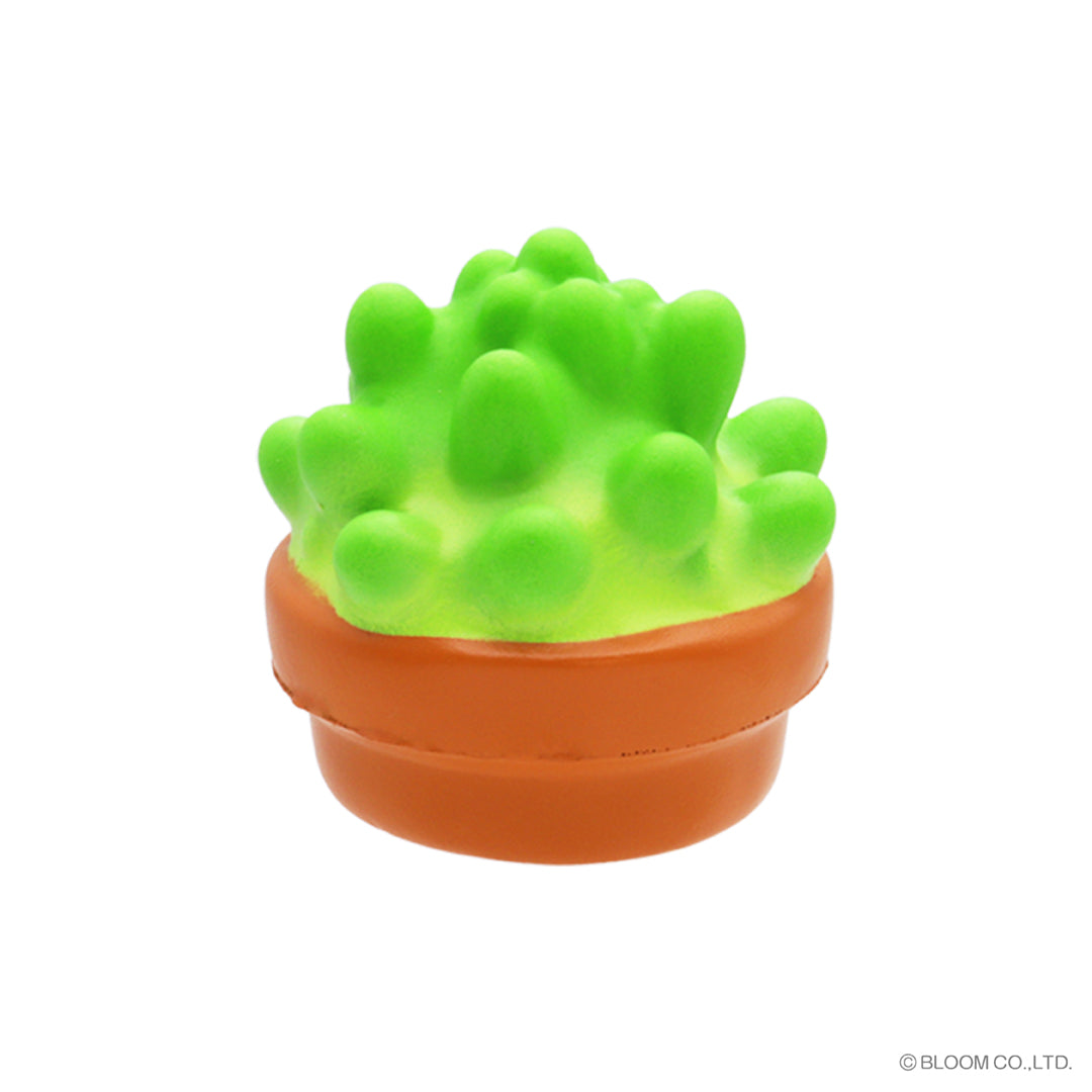 ★Capsule Toys★ Fluffy succulents