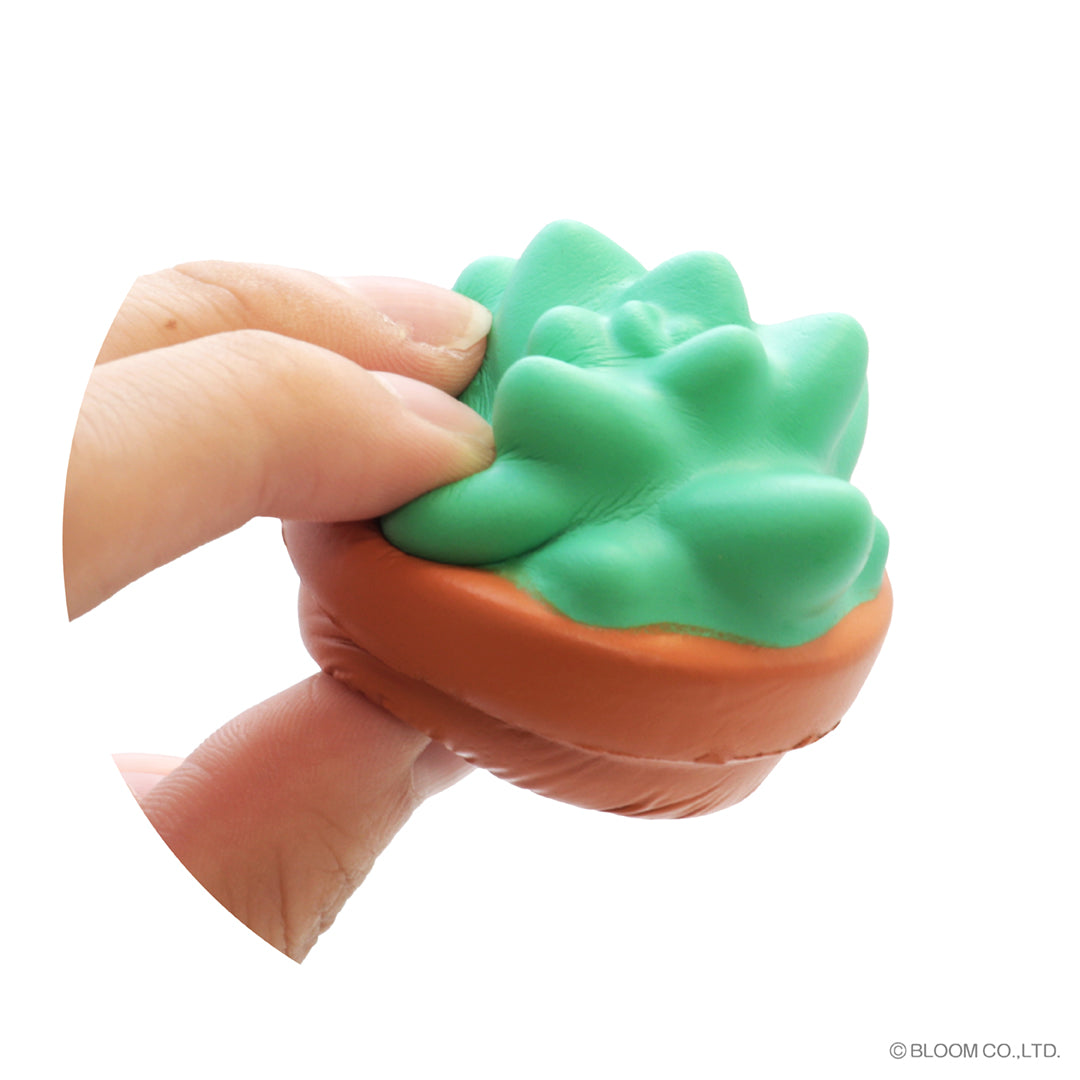 ★Capsule Toys★ Fluffy succulents