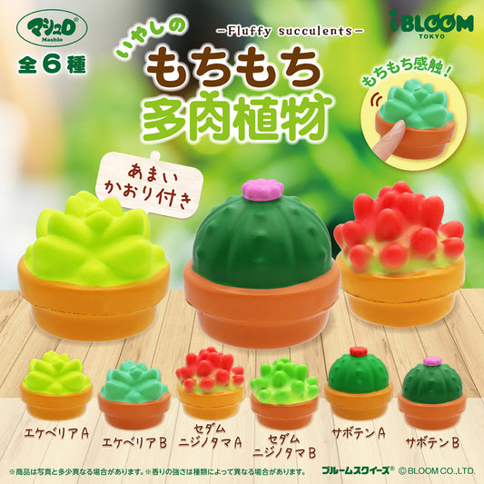 ★Capsule Toys★ Fluffy succulents