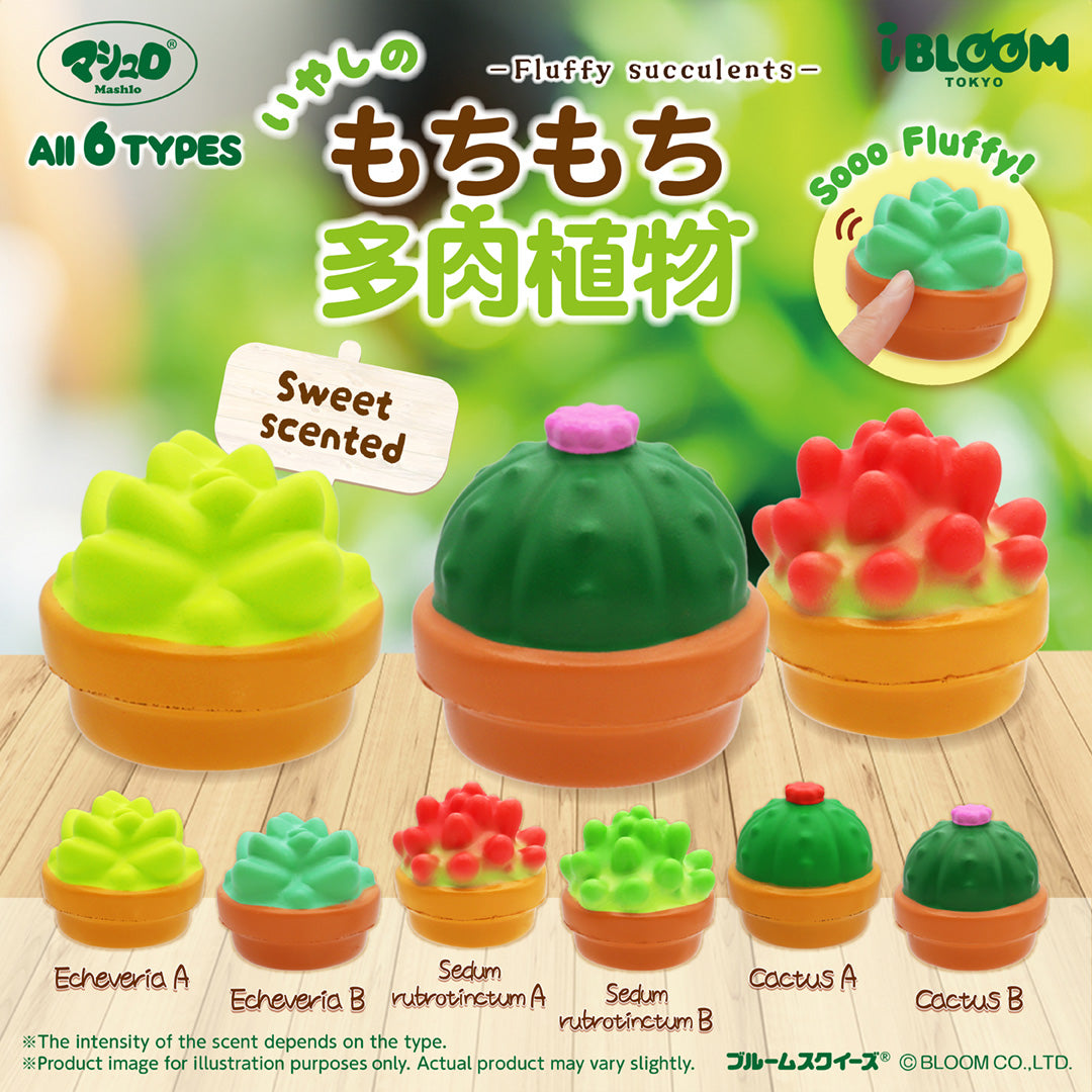 succulent soft and squishy ☆Capsule Toys☆ Fluffy succulents – i-BLOOM SQUISHY OFFICIAL SHOP