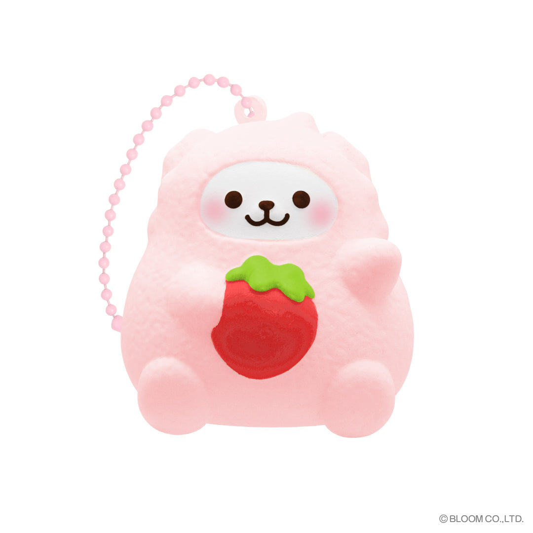 Mashlo Box iBLOOM characters vol.3