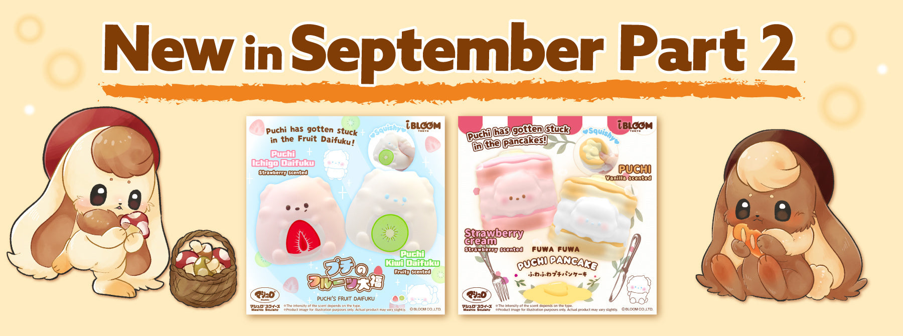 iBLOOM SQUISHY OFFICIAL SHOP – i-BLOOM SQUISHY OFFICIAL SHOP