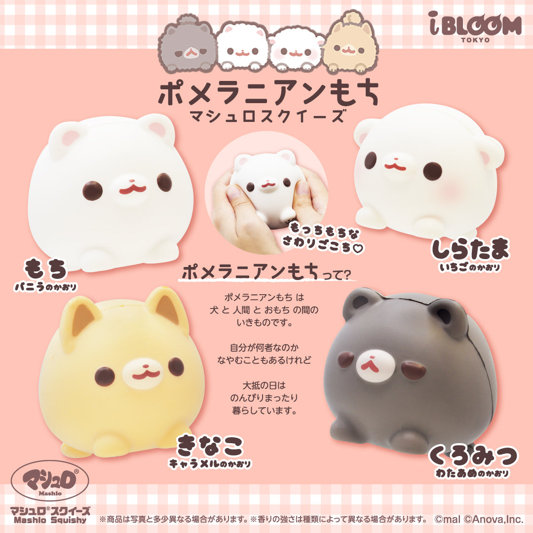 【11/9以降発送】ポメラニアンもち マシュロスクイーズ ※通常商品も購入すると併せて11/9以降発送