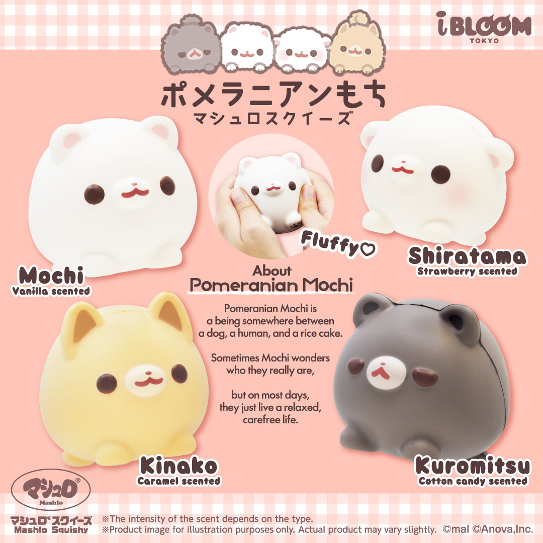 【11/9以降発送】ポメラニアンもち マシュロスクイーズ ※通常商品も購入すると併せて11/9以降発送