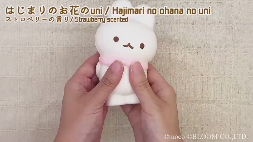 ピエニウニ マシュロスクイーズ – i-BLOOM SQUISHY OFFICIAL SHOP