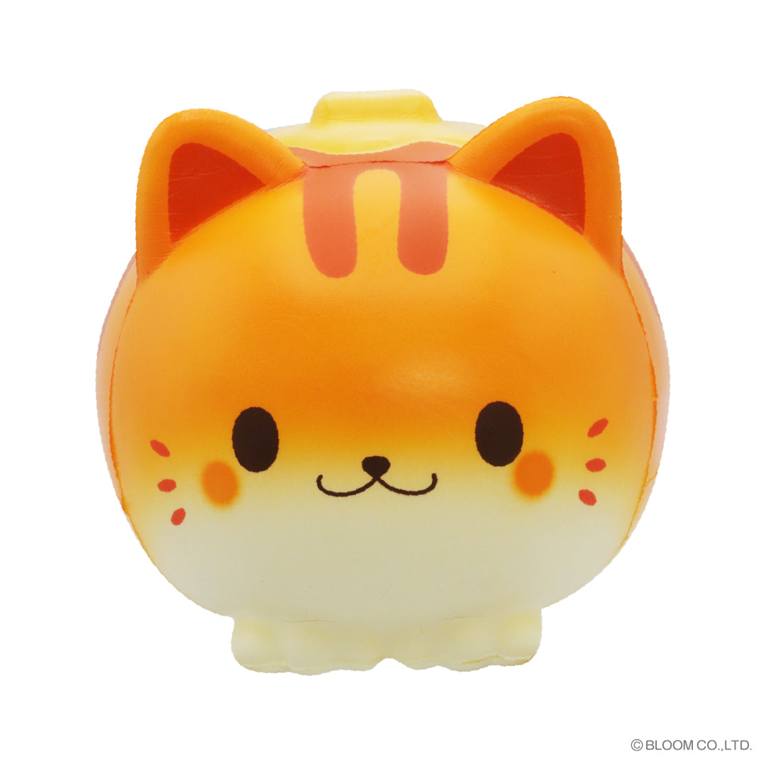 Cat discount pancake squishy